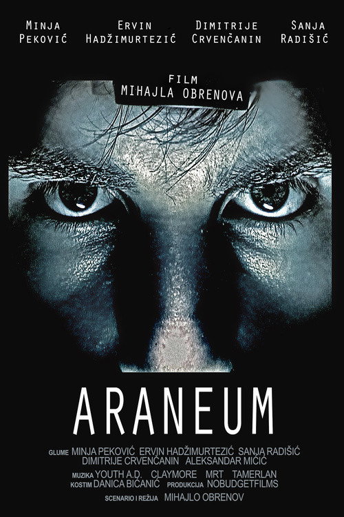 Movie poster for Araneum (2010)