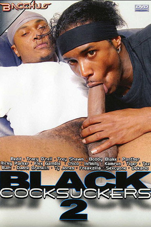 Movie poster for Black Cocksuckers 2 (2007)