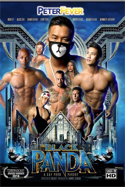 Movie poster for The Black Panda 1 (2019)