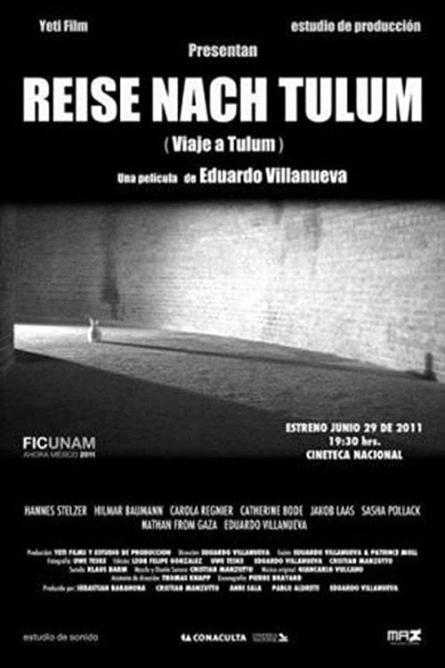 Movie poster for Viaje a Tulum (2011)