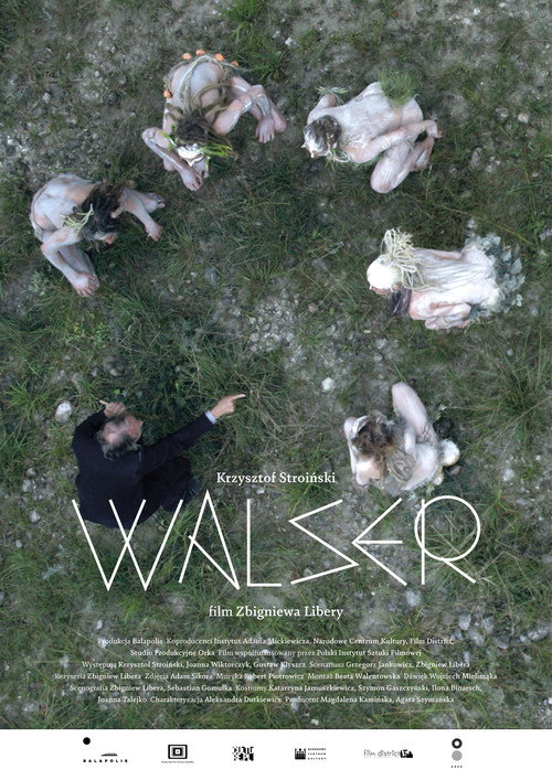 Movie poster for Walser (2016)