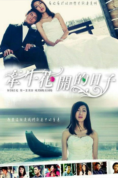 牽牛花開的日子 poster