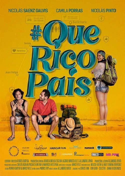 Movie poster for What a nice country (2019)