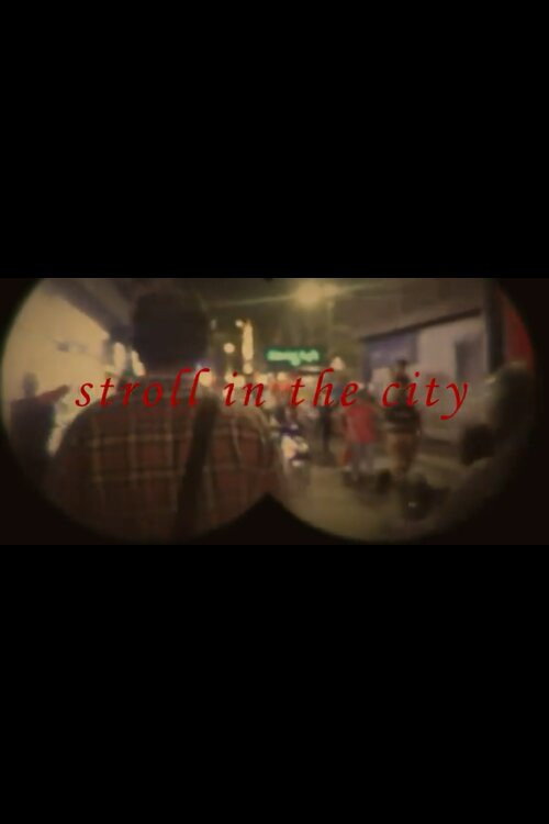 Movie poster for Stroll In The City (2024)