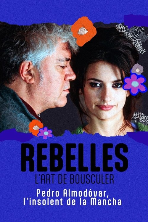 Movie poster for Almodóvar, l'insolent de la Mancha (2023)