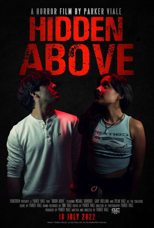 Movie poster for Hidden Above (2022)