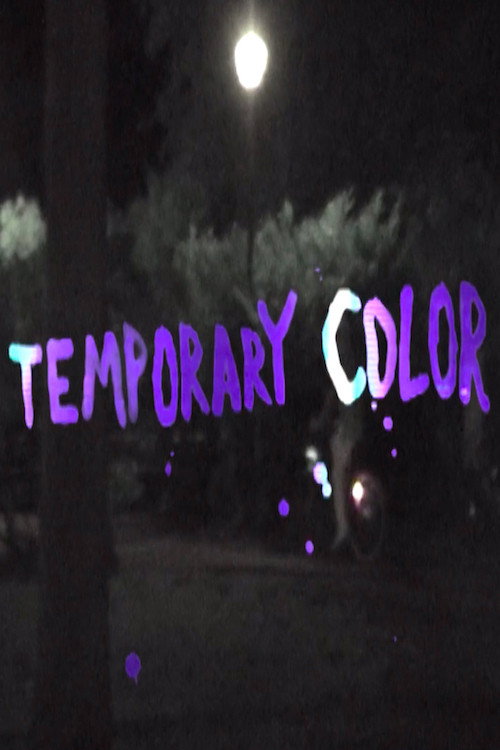 Movie poster for Temporary Color (2016)