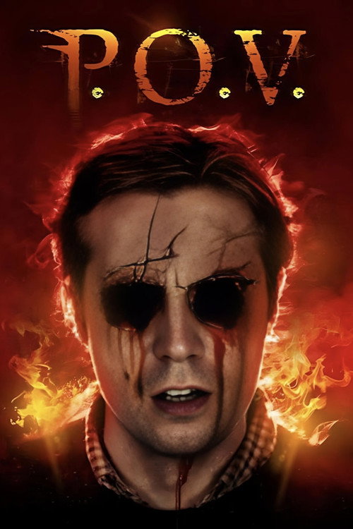 Movie poster for P.O.V (2014)