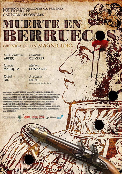 Movie poster for Death in Berruecos (2018)