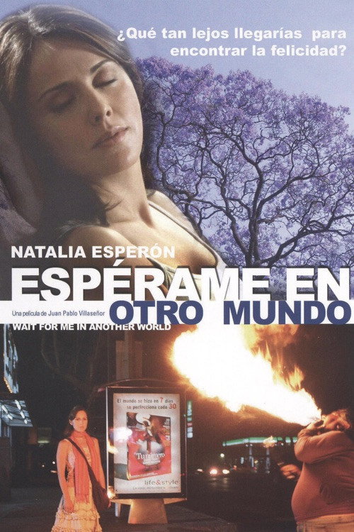 Movie poster for Wait for Me in Another World (2008)