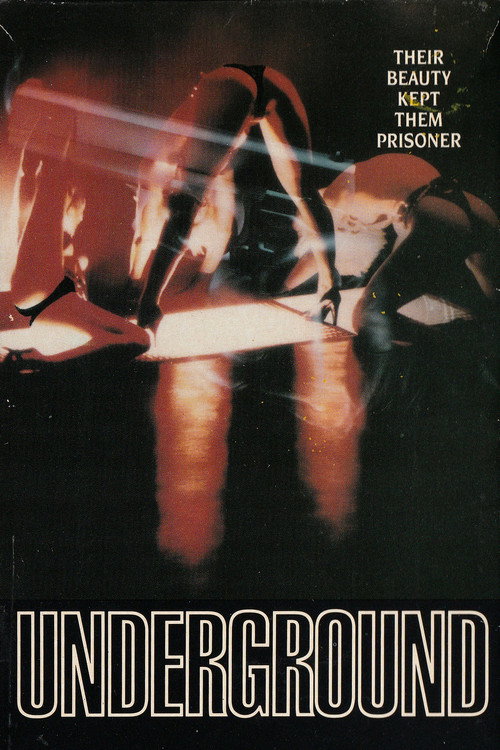 Movie poster for Underground (1991)