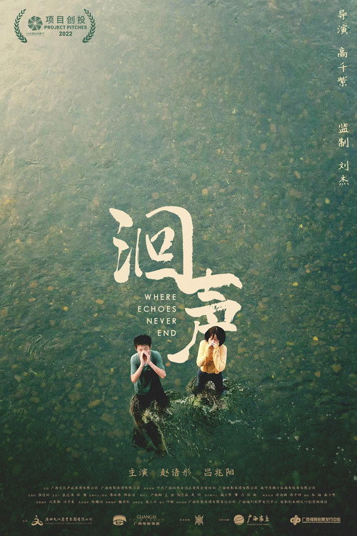 Movie poster for Where Echoes Never End (2023)