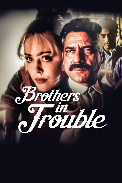 Movie poster for Brothers in Trouble (1995)