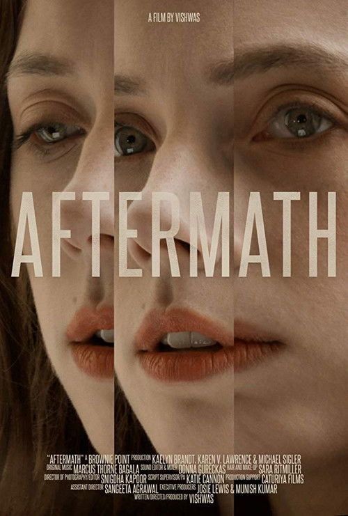 Movie poster for Aftermath (2018)