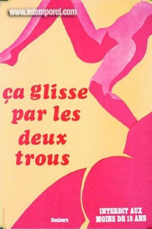 Movie poster for Ça glisse par les deux trous (1980)
