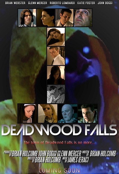 Movie poster for Deadwood Falls (2017)