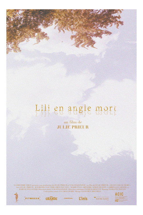 Movie poster for Lili's Blind Spot (2019)