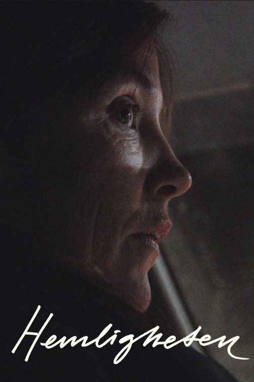 Movie poster for A secret (2023)