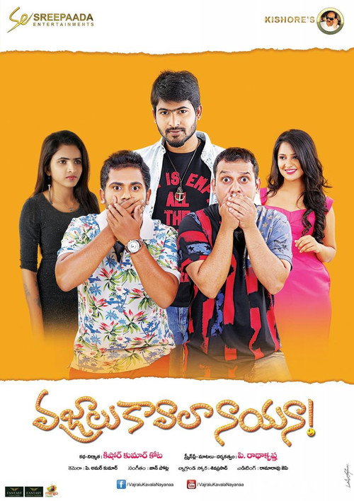 Movie poster for Vajralu kavala nayana (2017)