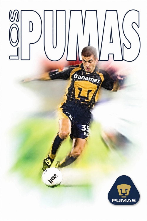 Movie poster for 40 Years as Pumas (2004)