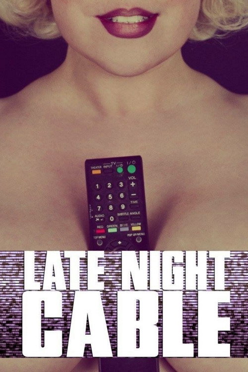 Movie poster for Late Night Cable (2016)