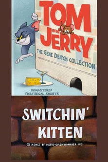 Movie poster for Switchin' Kitten (1961)