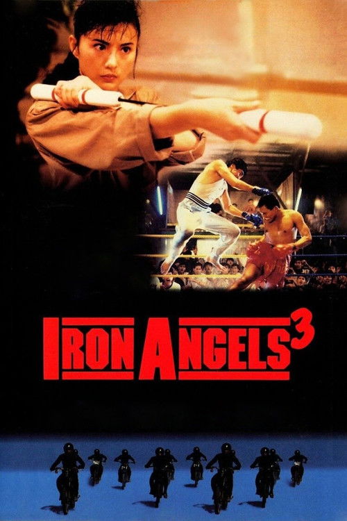 Movie poster for Iron Angels 3 (1989)