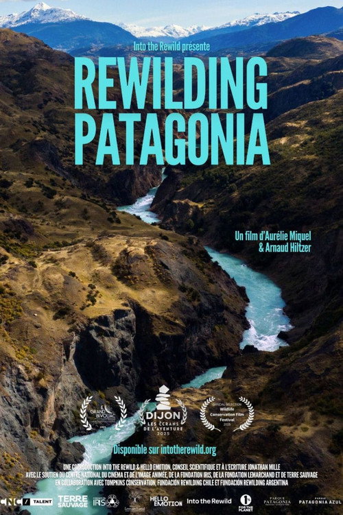 Movie poster for Rewilding Patagonia (2025)