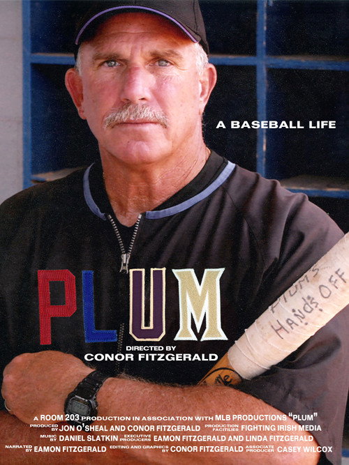 Movie poster for PLUM: A Baseball Life (2021)
