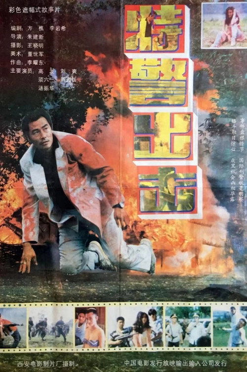 Movie poster for Special Group (1992)