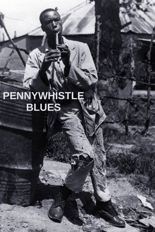 Movie poster for The Pennywhistle Blues (1951)