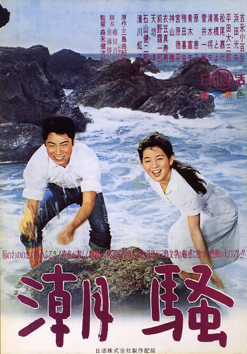 Movie poster for The Sound of Waves (1964)