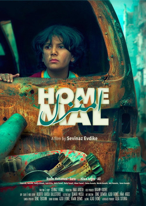 Movie poster for Home (2018)