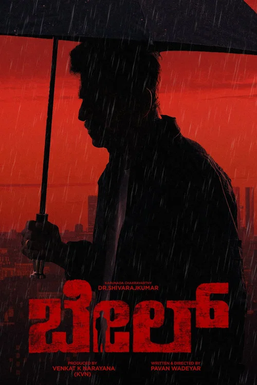 Movie poster for Bail