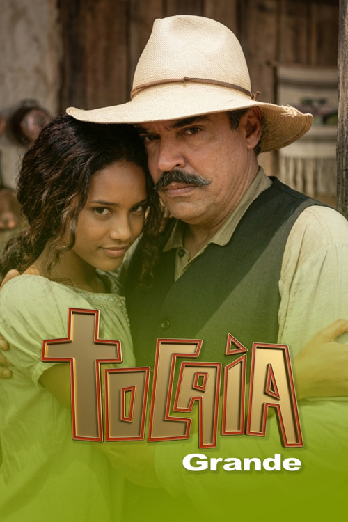 Series poster for Tocaia Grande (1995)