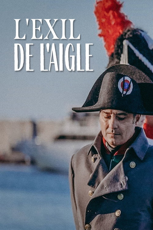 Movie poster for L'esilio dell'aquila (2020)