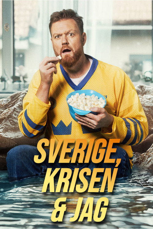Sverige, krisen och jag poster