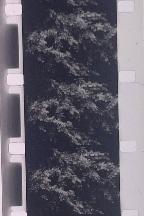 Movie poster for Plotting the Grey Scale: 2 or 3 Quick Traverses (1985)