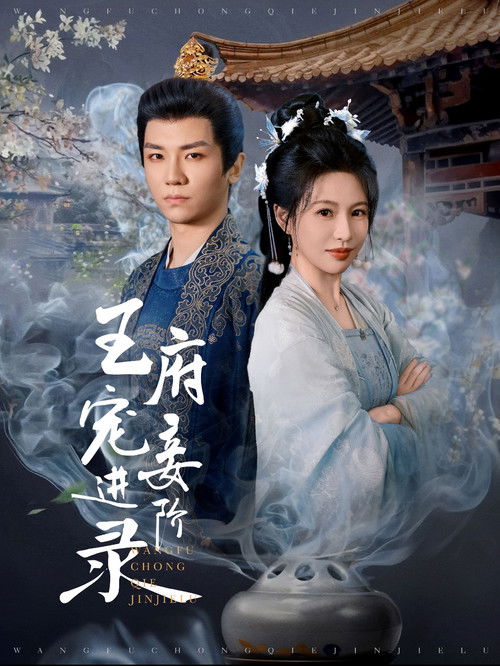 王府宠妾进阶录 poster