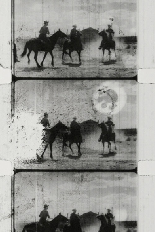 Movie poster for Western Sunburn (2007)