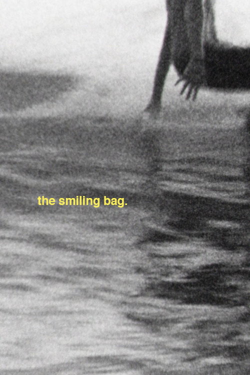 Movie poster for the smiling bag (2016)