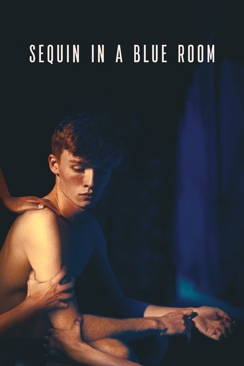 Movie poster for Sequin in a Blue Room (2019)