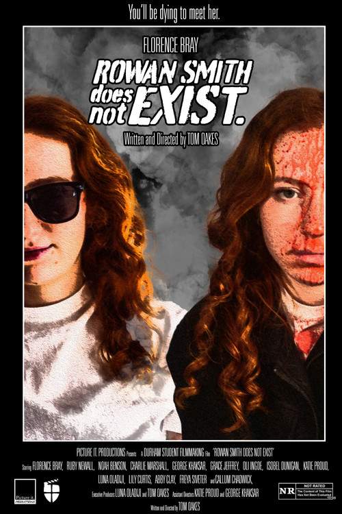 Movie poster for Rowan Smith Does Not Exist. (2025)