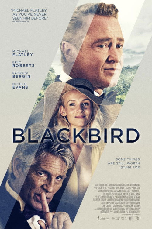 Movie poster for Blackbird (2022)