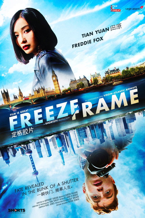 Movie poster for Freeze-Frame (2014)