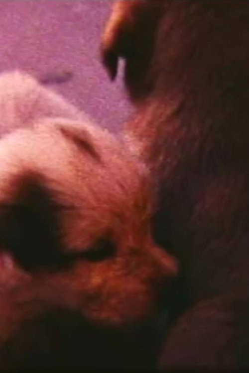 Movie poster for Pup Birth
