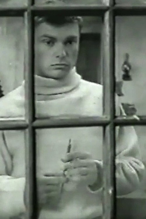 Movie poster for The Death of a Provincial (1966)
