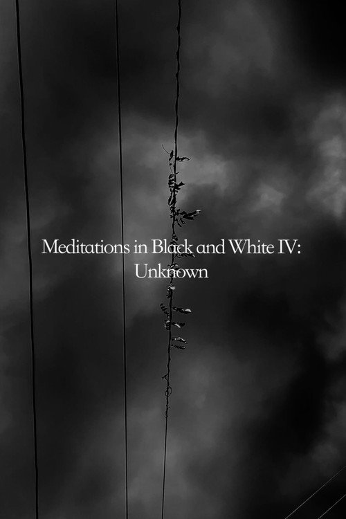 Movie poster for Meditations in Black and White IV: Unknown (2025)