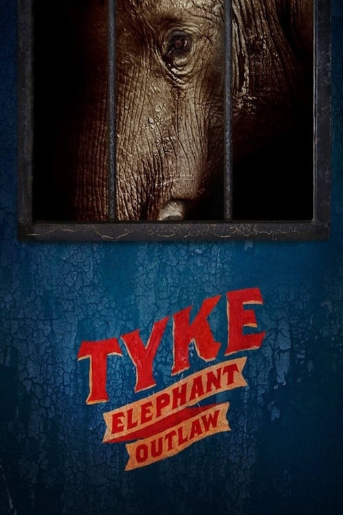 Movie poster for Tyke Elephant Outlaw (2015)