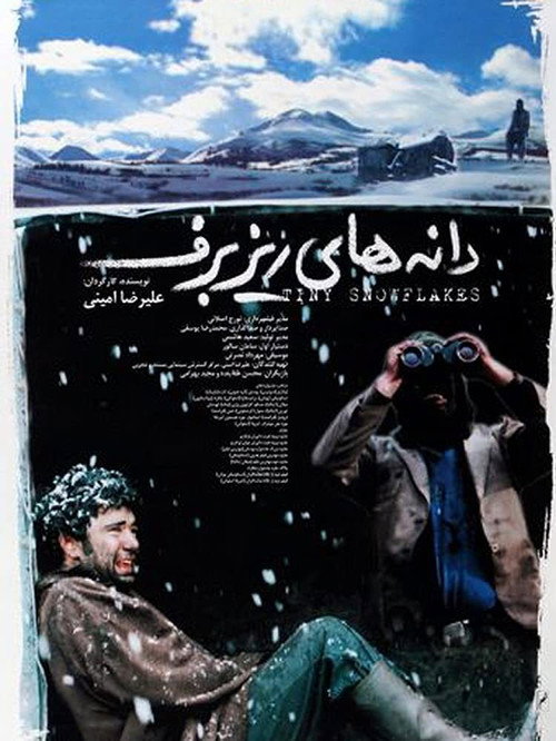 Movie poster for Tiny Snowflakes (2003)